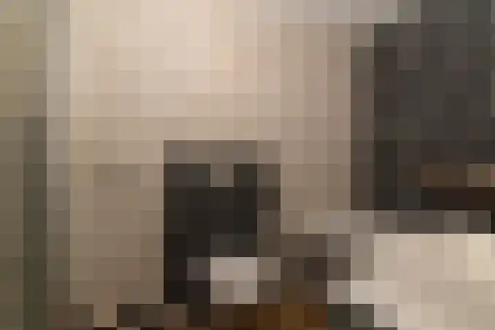 Berliozrode 18 Zoetermeer thumbnail 27