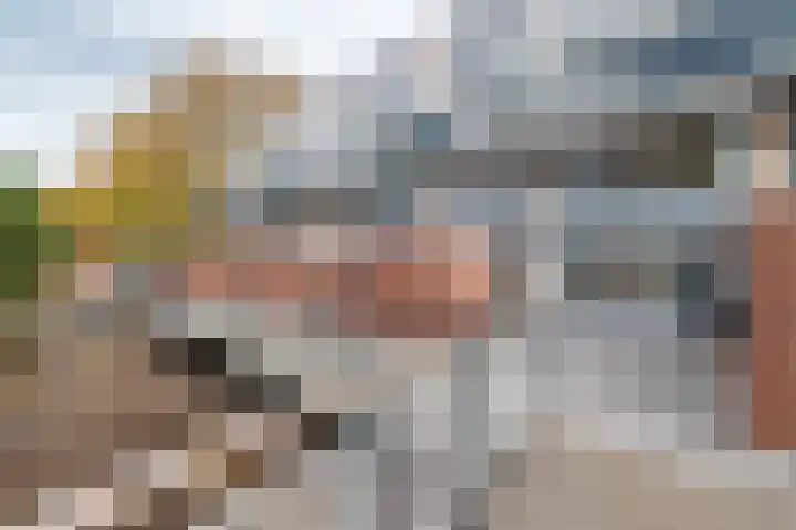 Berliozrode 18 Zoetermeer thumbnail 31
