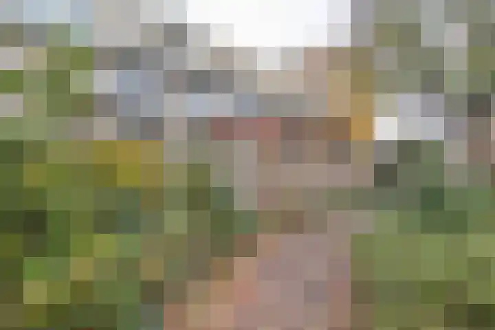 Berliozrode 18 Zoetermeer thumbnail 34