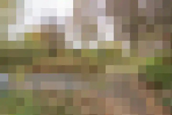 Berliozrode 18 Zoetermeer thumbnail 35
