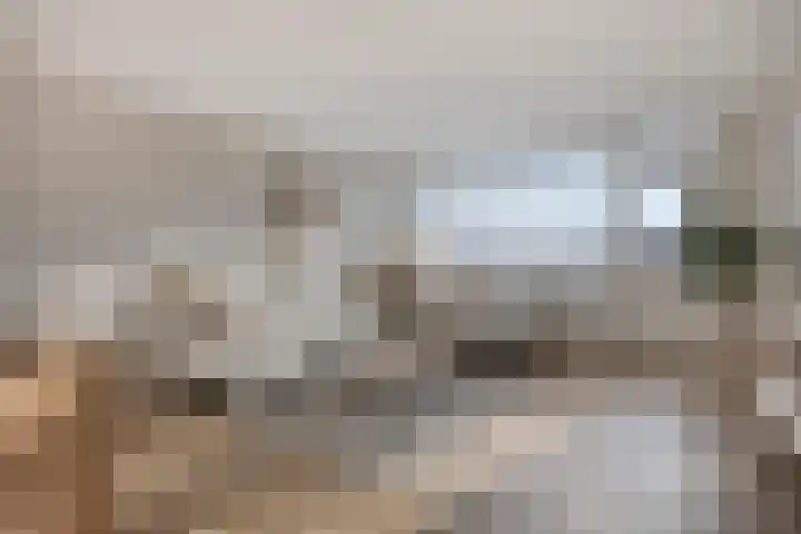 Berliozrode 36 in Zoetermeer