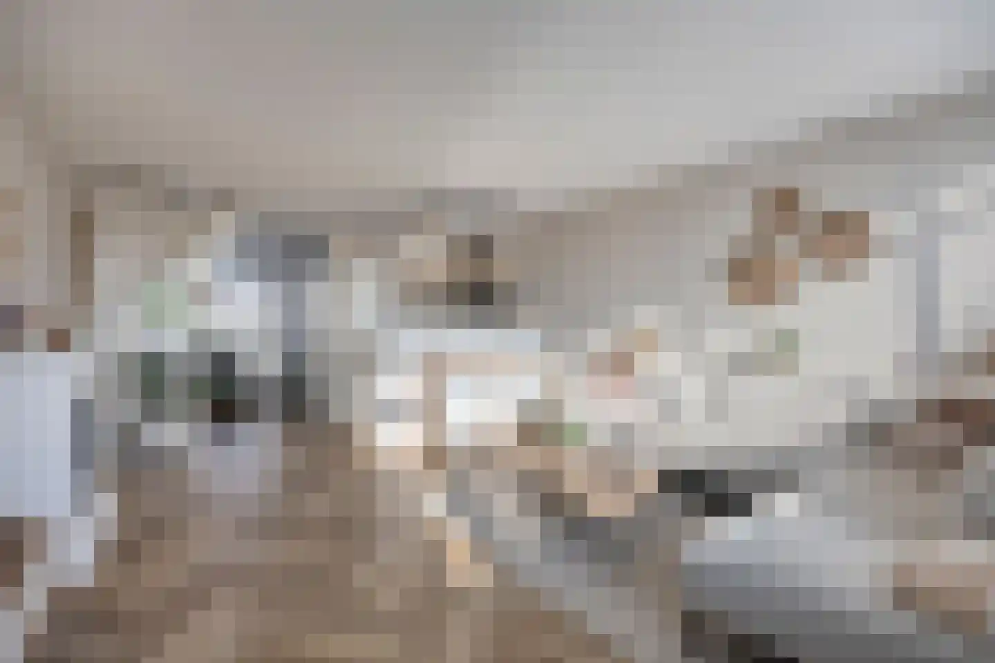 Berliozrode 36 Zoetermeer thumbnail 14