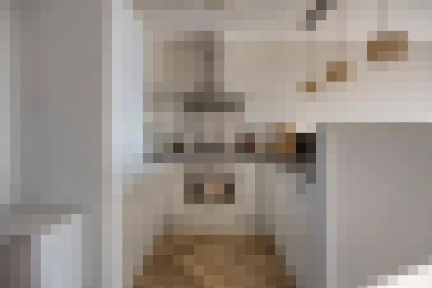 Berliozrode 36 Zoetermeer thumbnail 20