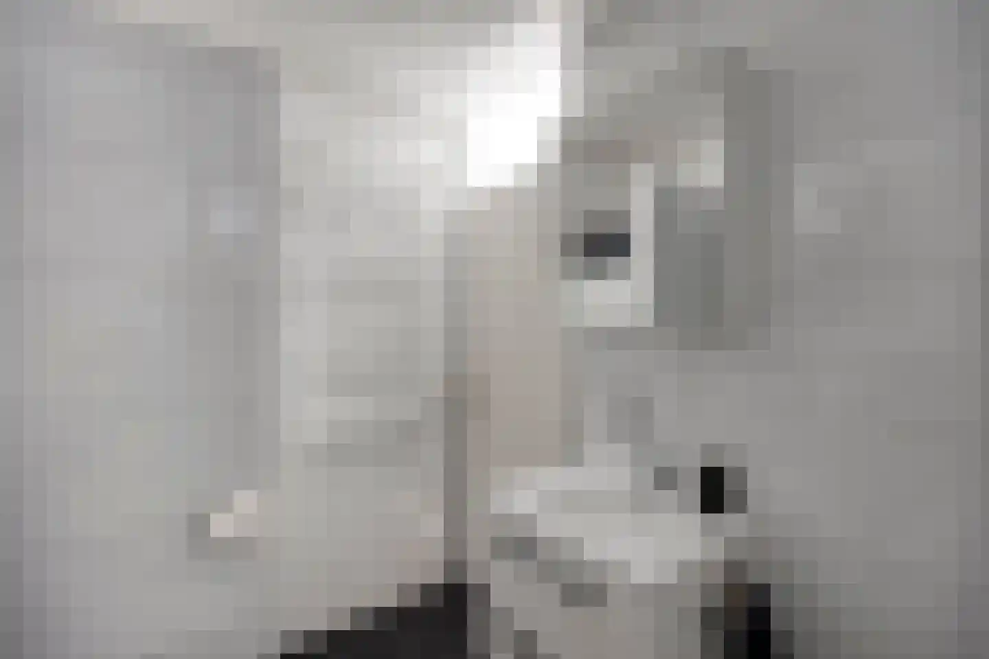 Berliozrode 36 Zoetermeer thumbnail 32