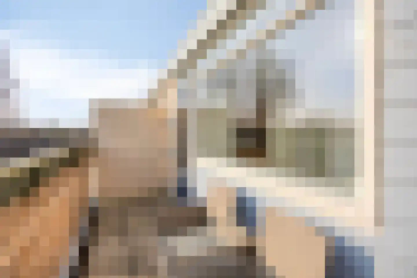 Berliozrode 36 Zoetermeer thumbnail 34