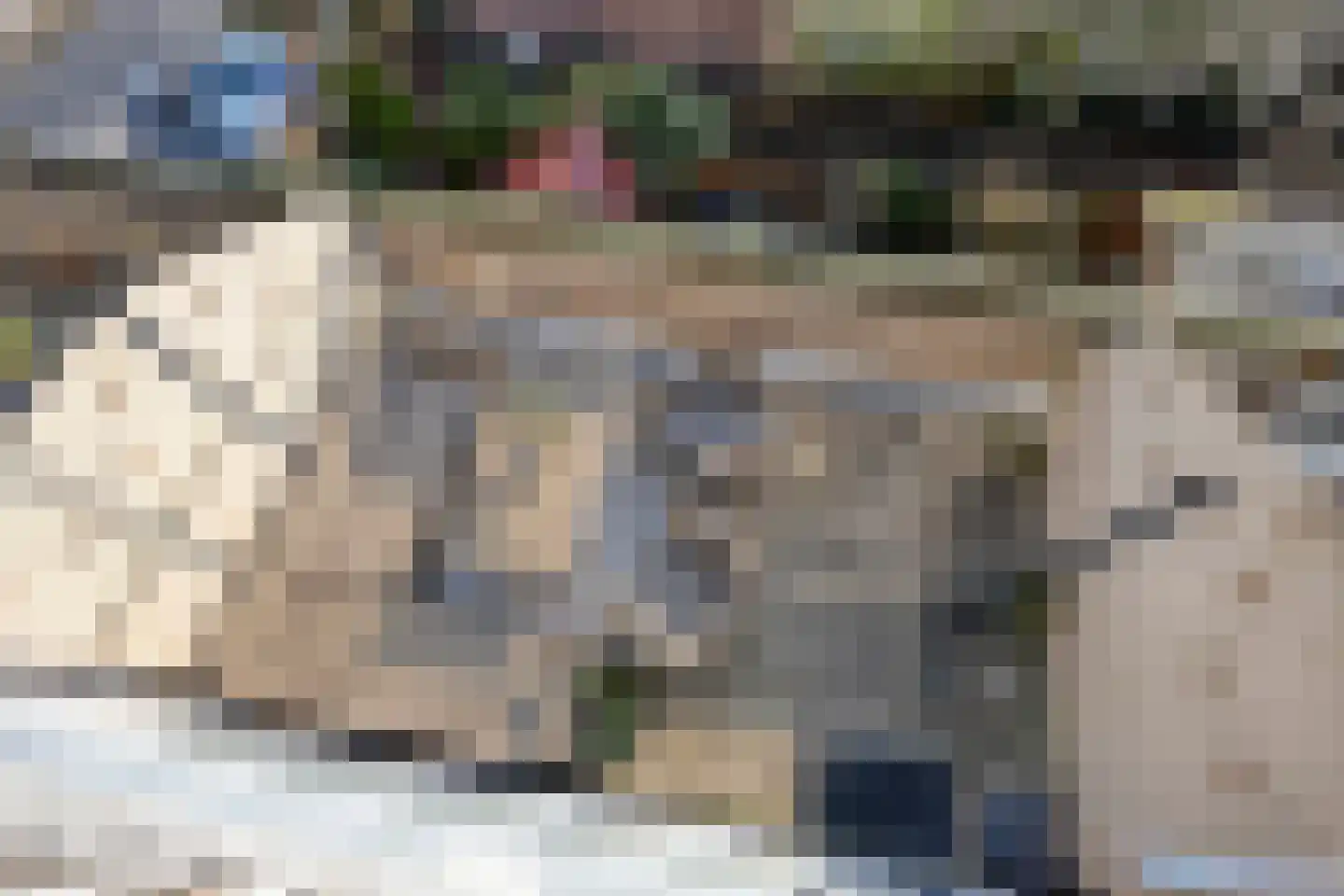 Berliozrode 36 Zoetermeer thumbnail 35