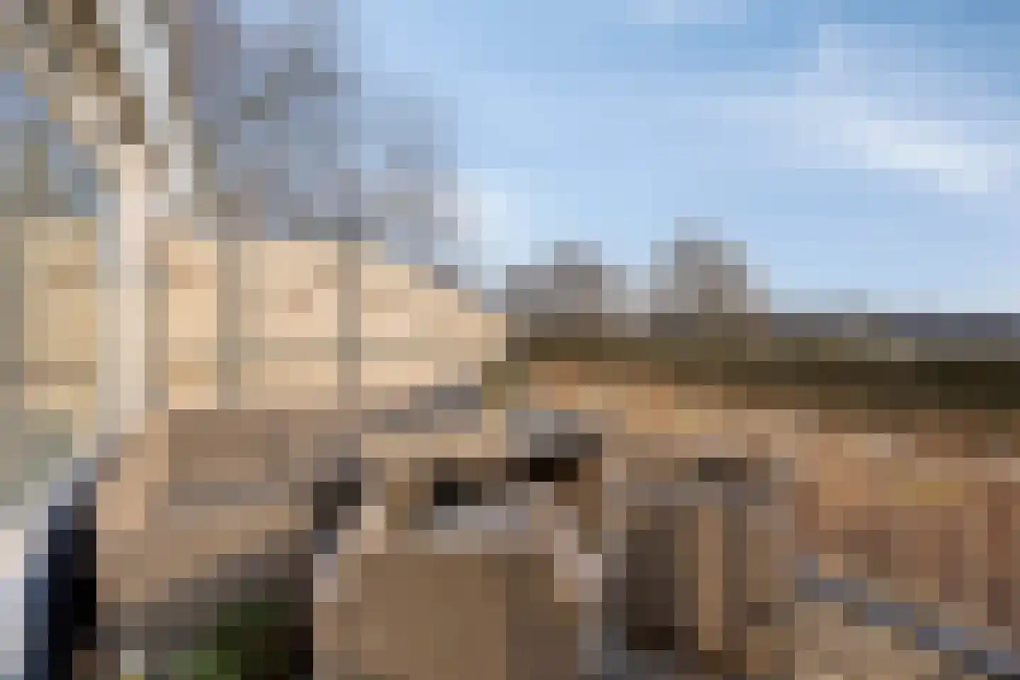 Berliozrode 36 Zoetermeer thumbnail 36