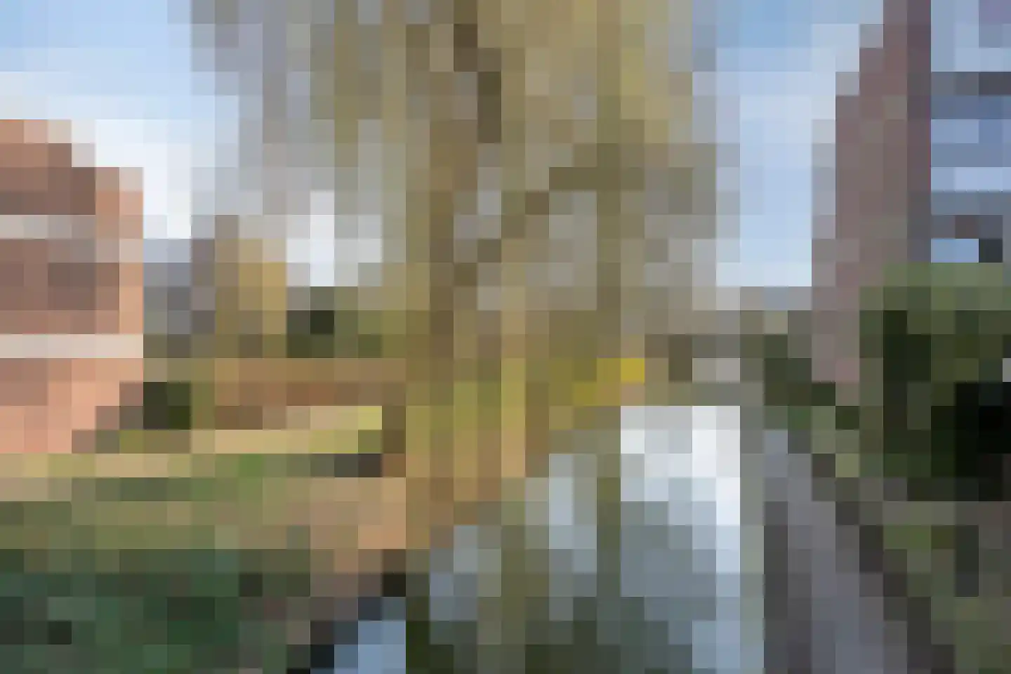 Berliozrode 36 Zoetermeer thumbnail 47