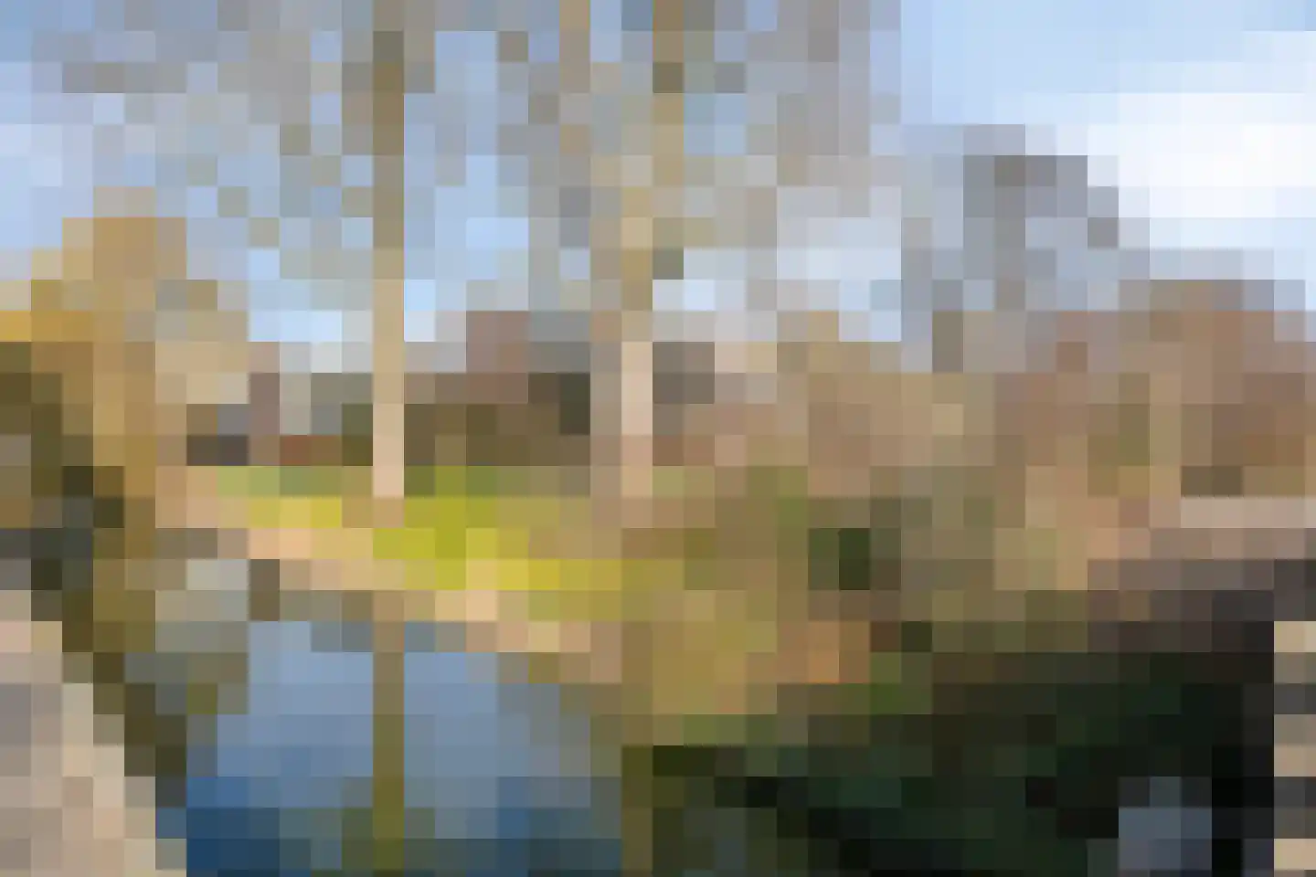 Berliozrode 36 Zoetermeer thumbnail 48