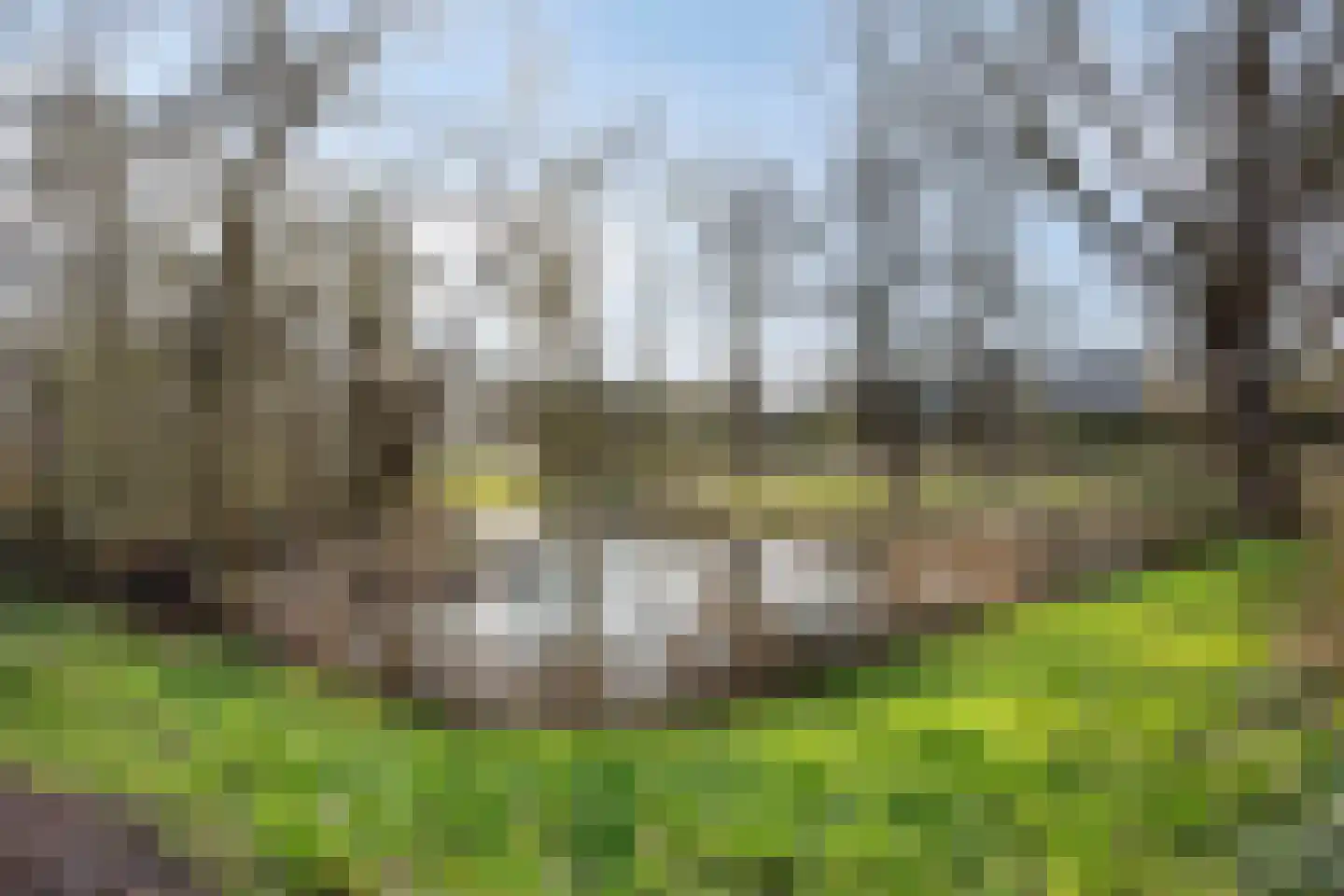 Berliozrode 36 Zoetermeer thumbnail 49