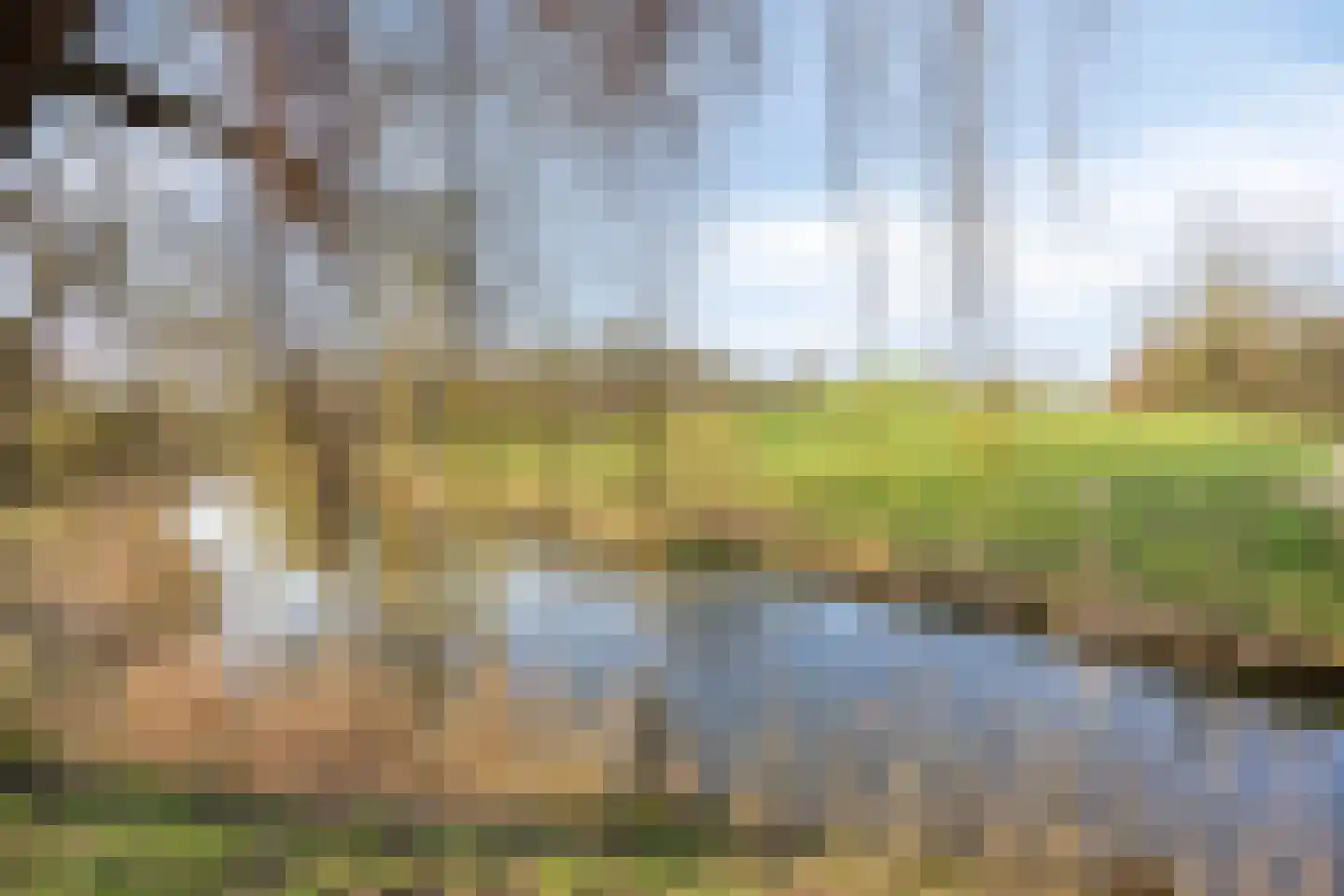 Berliozrode 36 Zoetermeer thumbnail 50