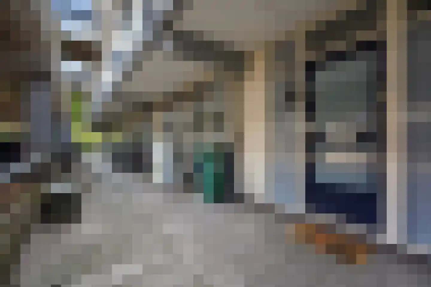 Berliozrode 5 Zoetermeer thumbnail 11