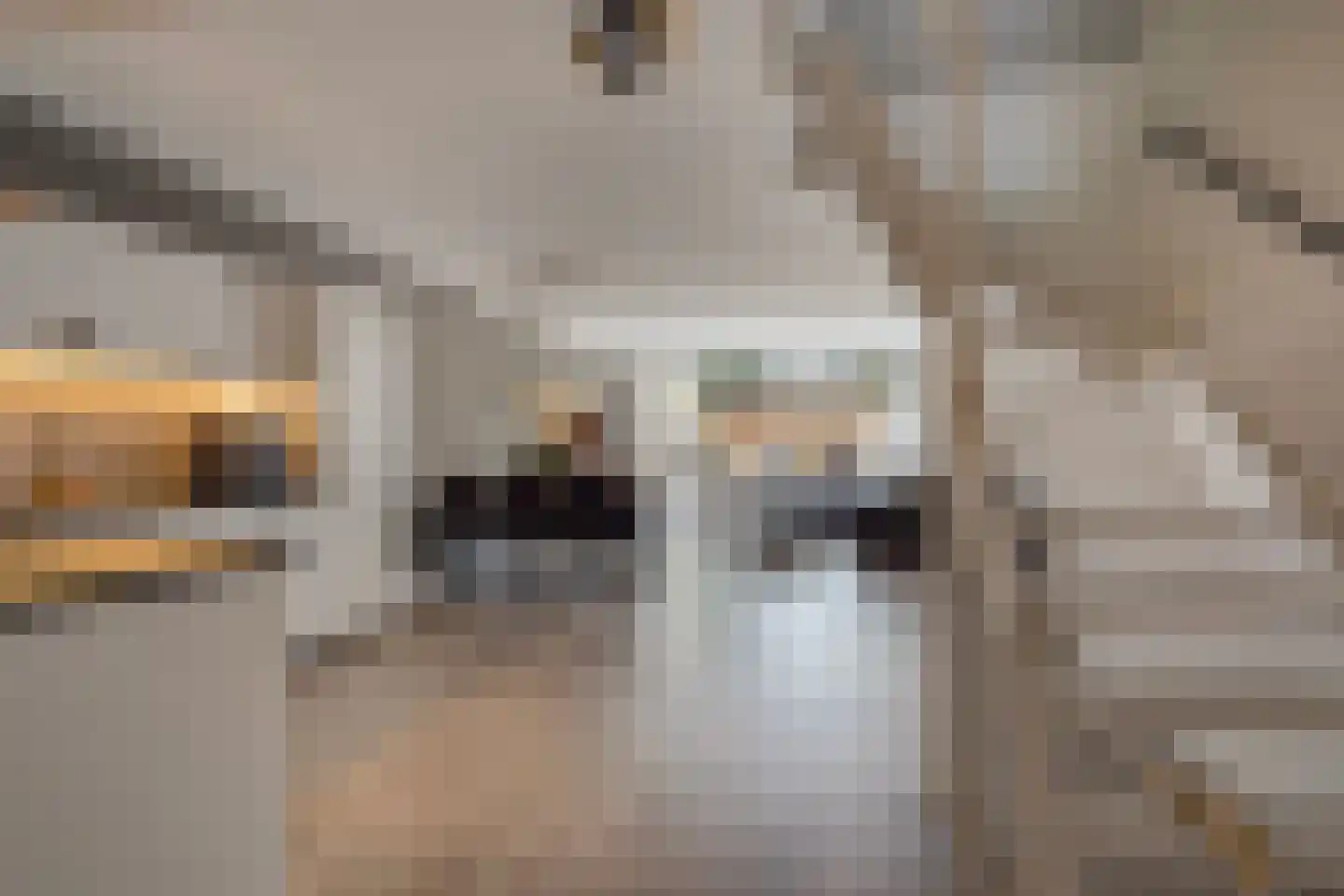 Berliozrode 5 Zoetermeer thumbnail 15