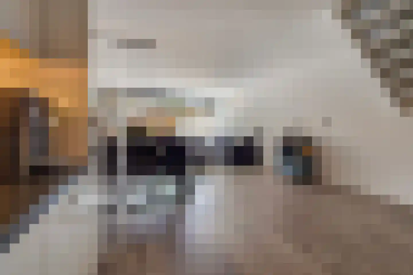 Berliozrode 5 Zoetermeer thumbnail 16