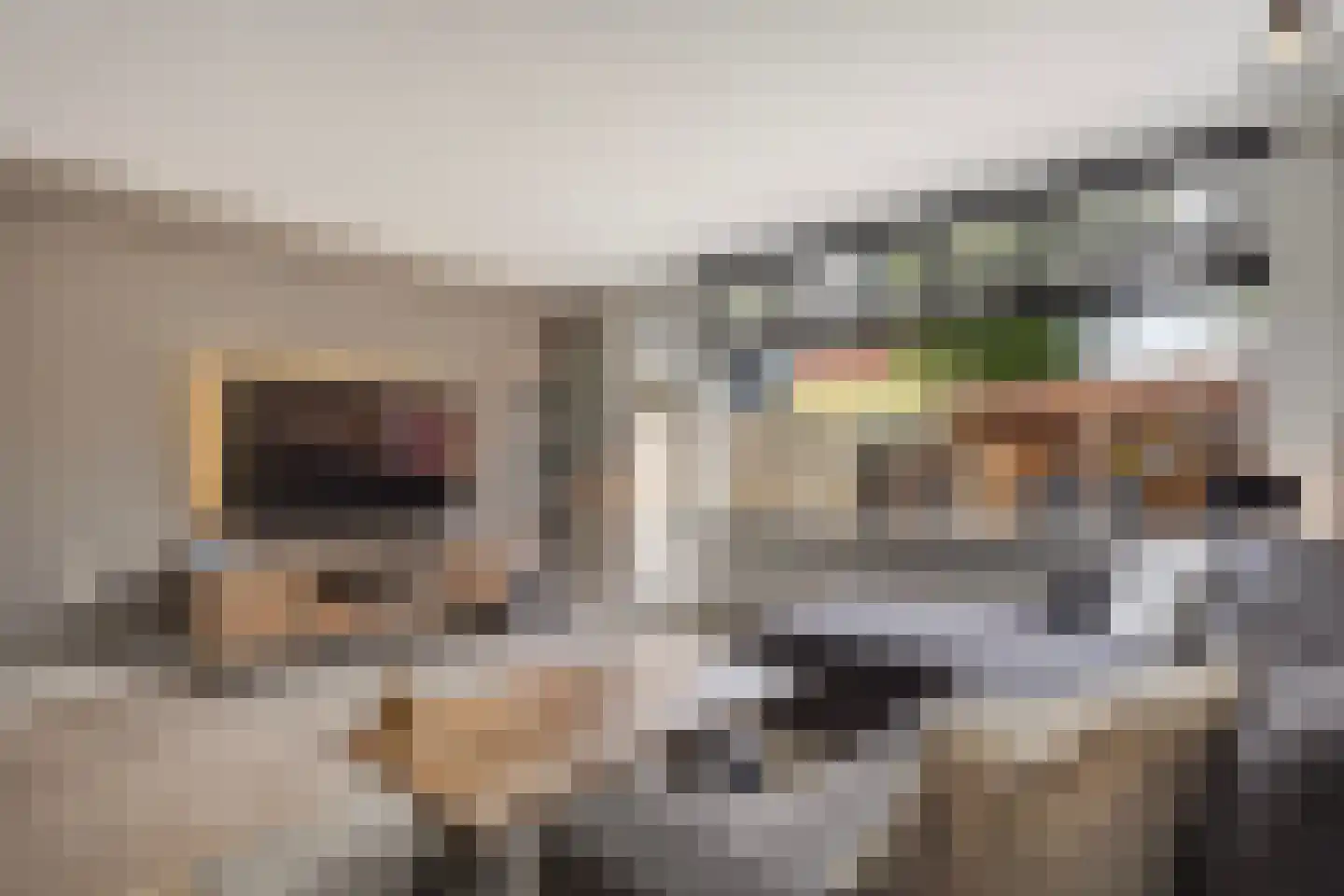 Berliozrode 5 Zoetermeer thumbnail 18