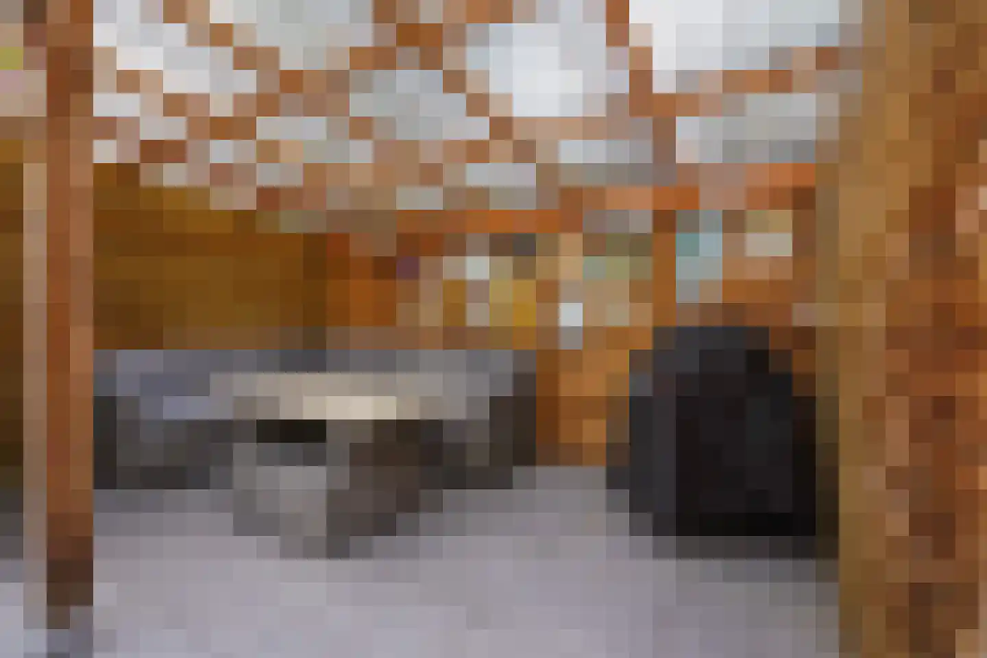 Berliozrode 5 Zoetermeer thumbnail 23