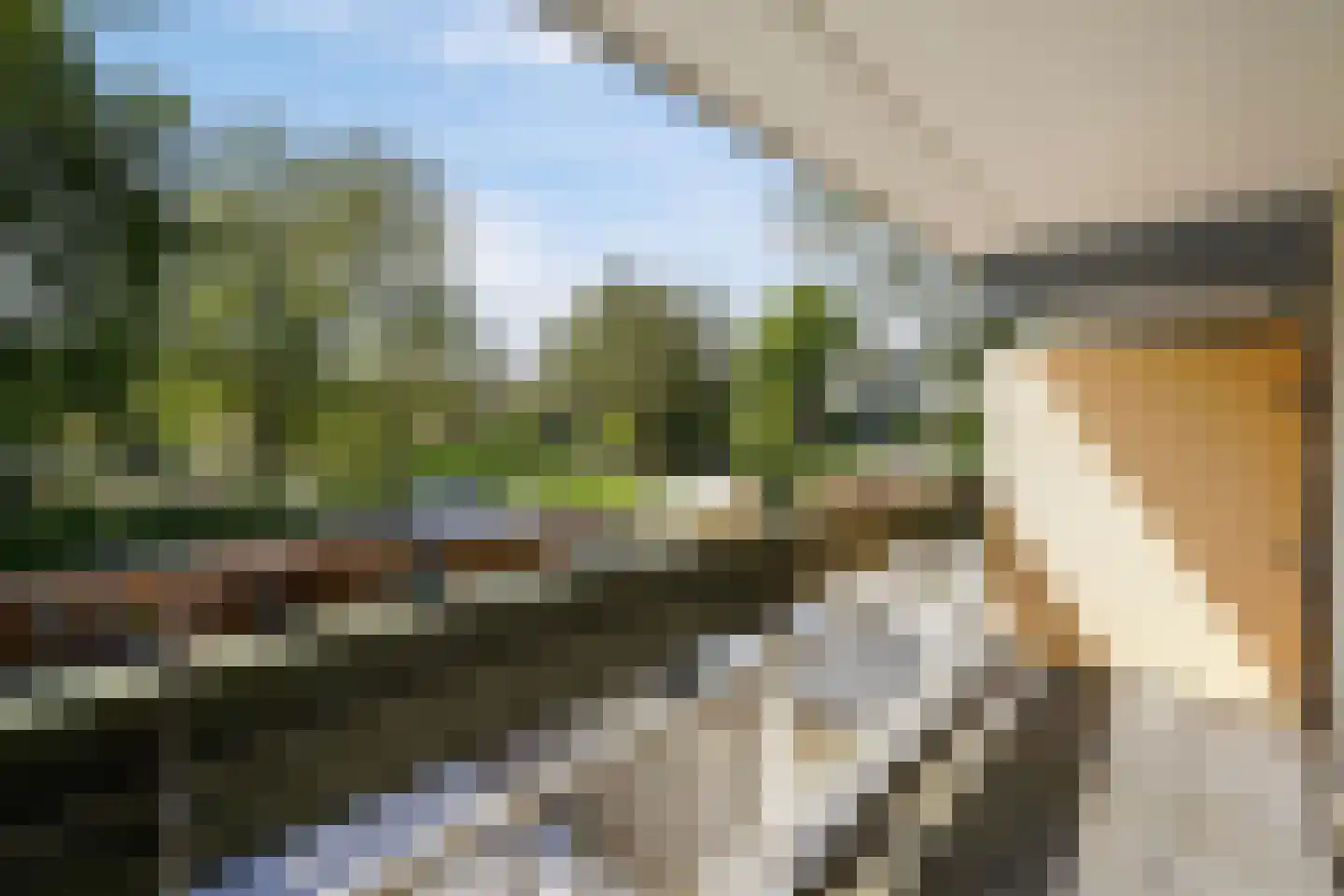 Berliozrode 5 Zoetermeer thumbnail 33
