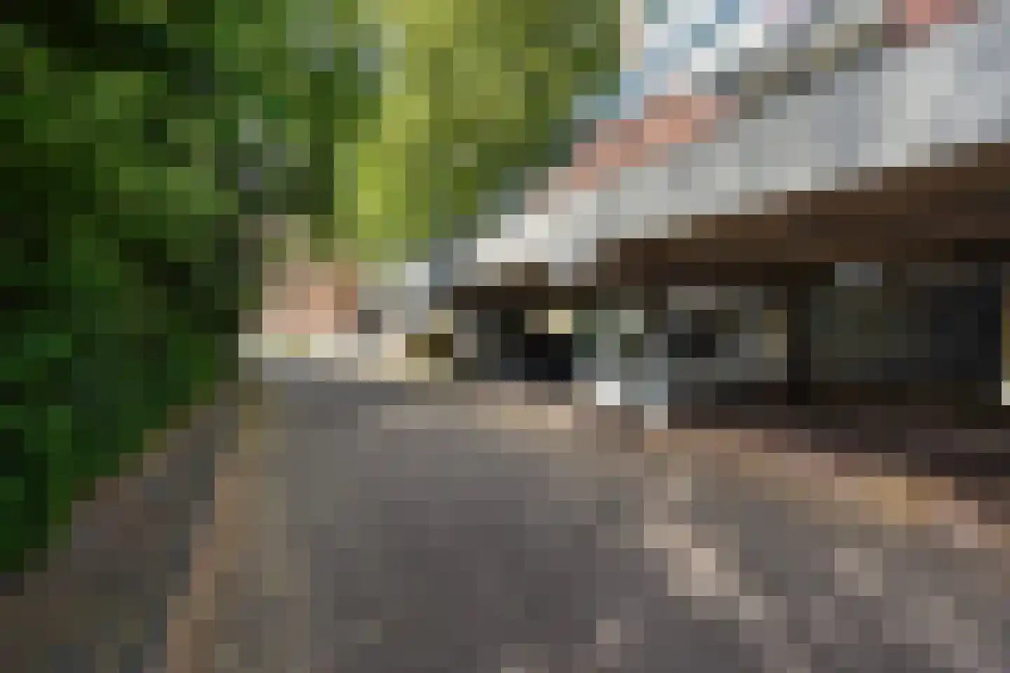 Berliozrode 5 Zoetermeer thumbnail 5