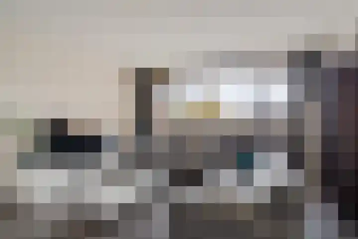 Berliozrode 8 Zoetermeer thumbnail 10