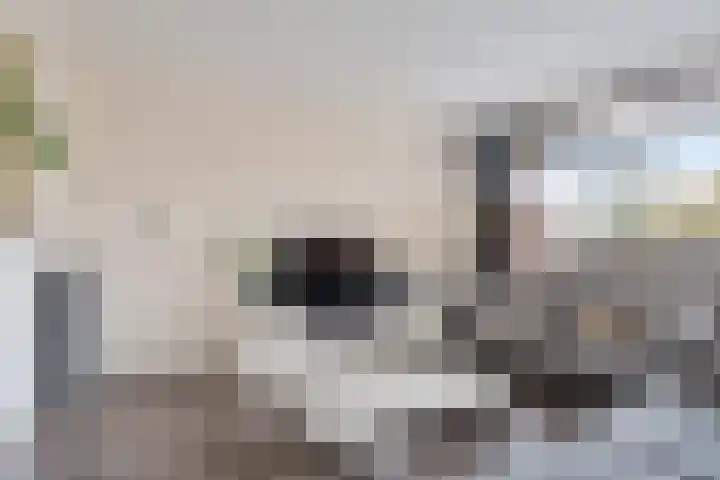 Berliozrode 8 Zoetermeer thumbnail 11
