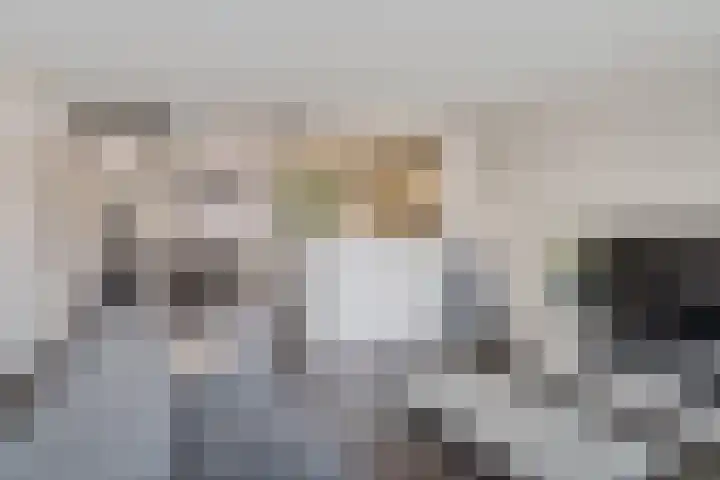 Berliozrode 8 Zoetermeer thumbnail 13