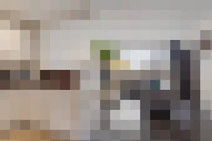 Berliozrode 8 Zoetermeer thumbnail 14
