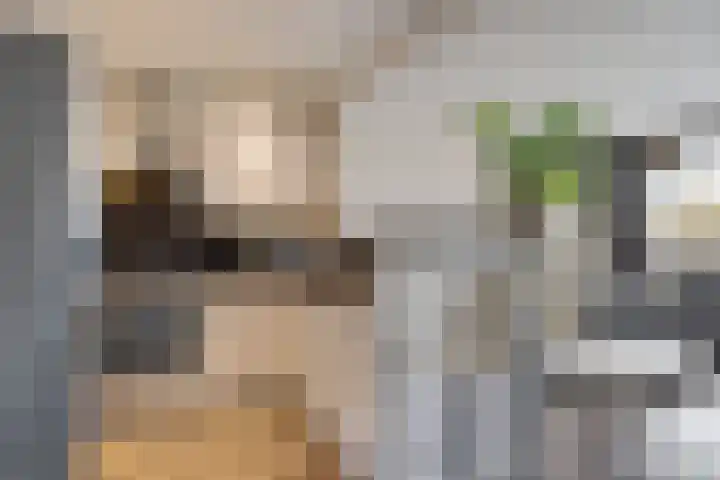 Berliozrode 8 Zoetermeer thumbnail 15