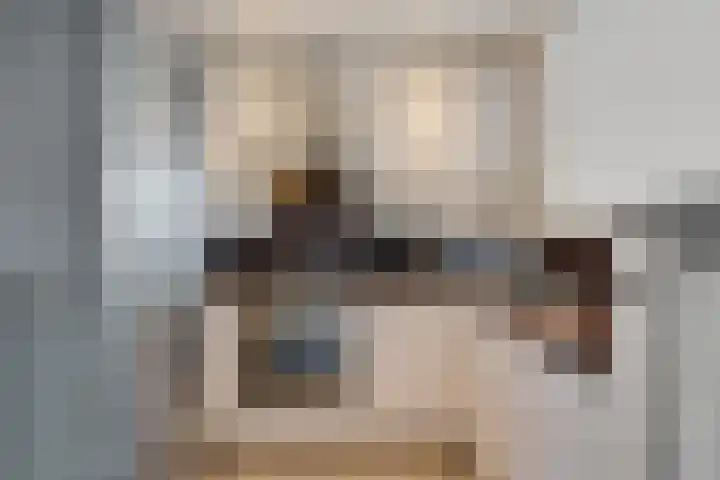 Berliozrode 8 Zoetermeer thumbnail 16
