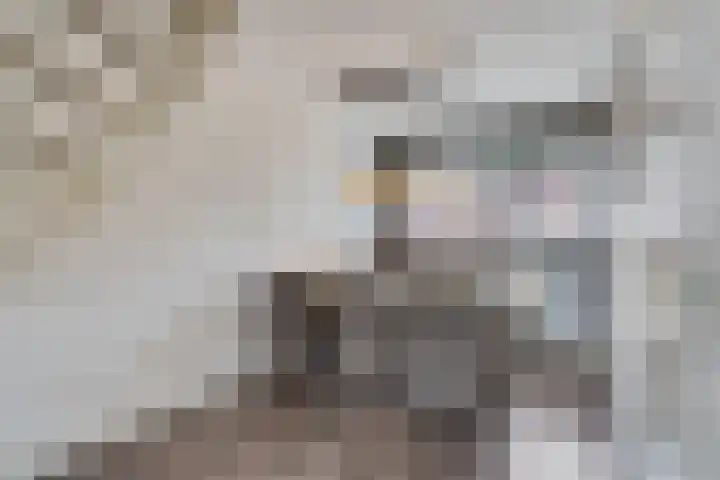 Berliozrode 8 Zoetermeer thumbnail 17