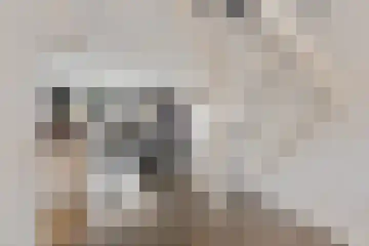 Berliozrode 8 Zoetermeer thumbnail 18