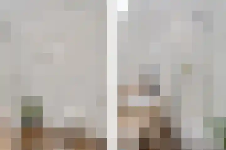 Berliozrode 8 Zoetermeer thumbnail 28