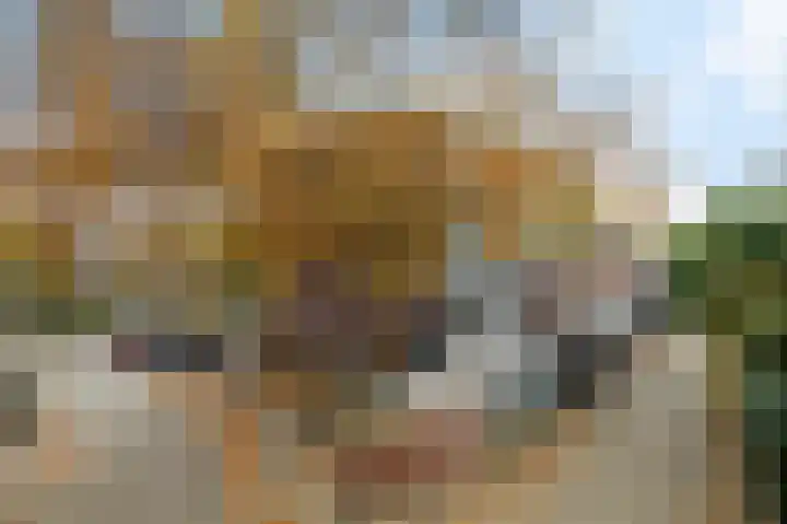 Berliozrode 8 Zoetermeer thumbnail 5