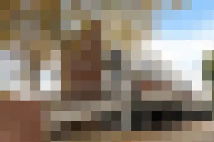Berliozrode 8 Zoetermeer thumbnail 6