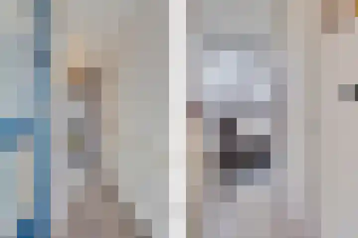 Berliozrode 8 Zoetermeer thumbnail 8