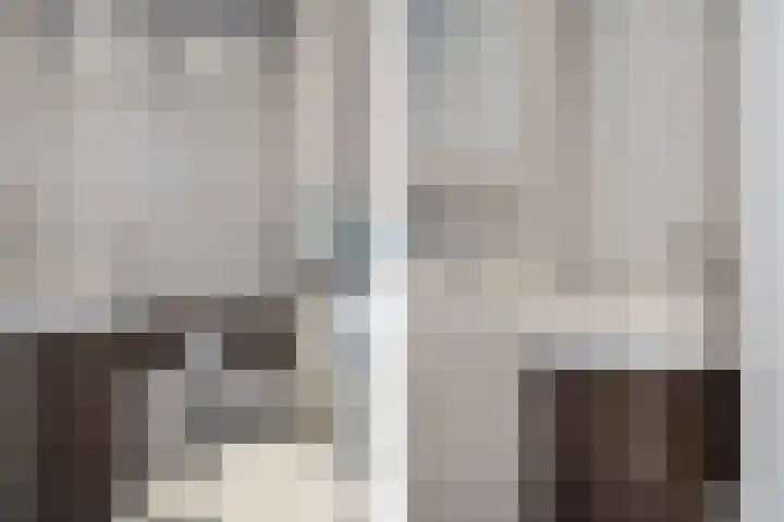 Berliozrode 8 Zoetermeer thumbnail 9