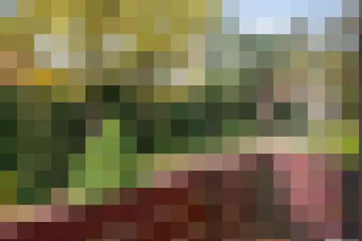 Berliozstraat 12 Arnhem thumbnail 31