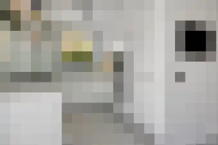 Berliozstraat 14 Capelle aan den IJssel thumbnail 11