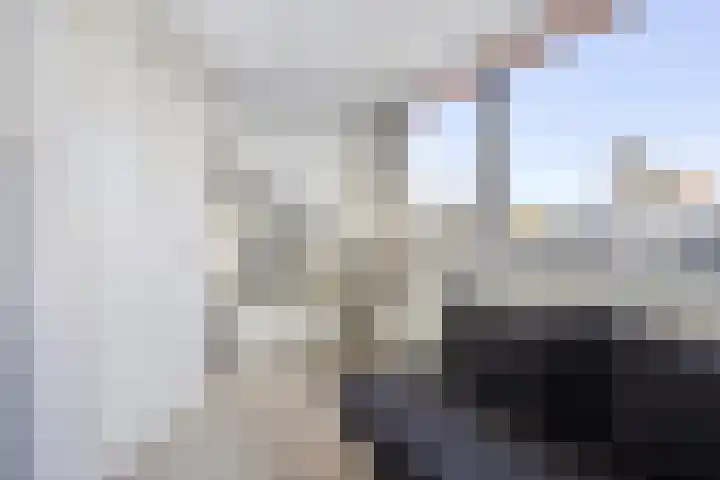 Berliozstraat 14 Capelle aan den IJssel thumbnail 25