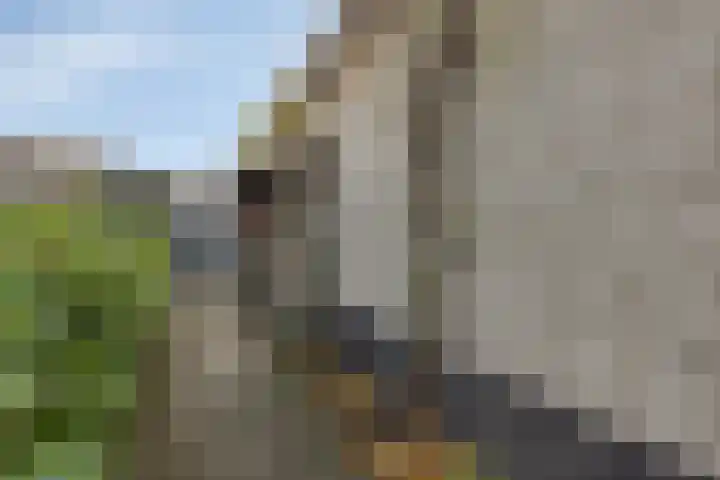 Berliozstraat 14 Capelle aan den IJssel thumbnail 29