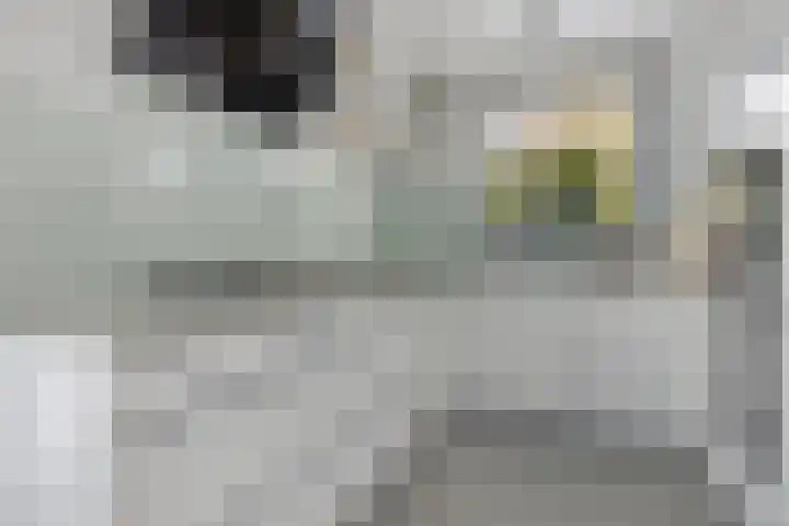 Berliozstraat 14 Capelle aan den IJssel thumbnail 4