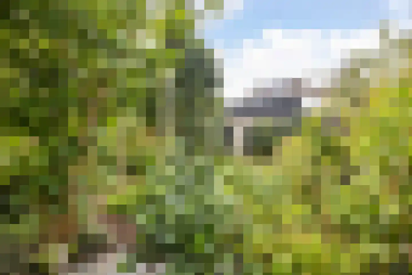 Berliozstraat 15 Veenendaal thumbnail 47