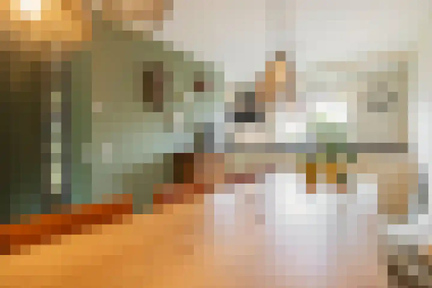 Berliozstraat 15 Veenendaal thumbnail 5