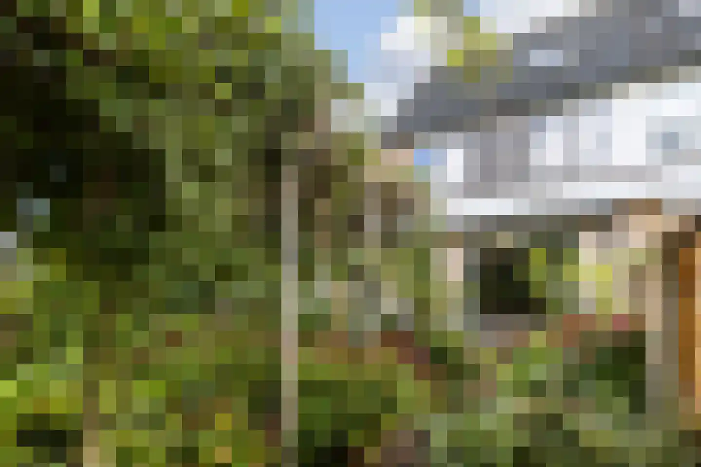 Berliozstraat 15 Veenendaal thumbnail 54