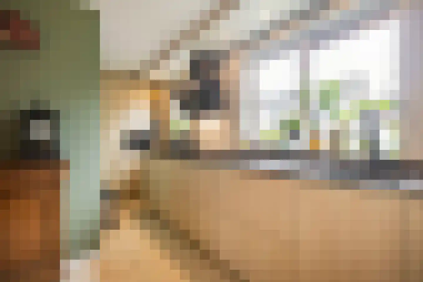 Berliozstraat 15 Veenendaal thumbnail 7