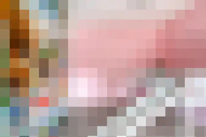 Berliozstraat 16 Veenendaal thumbnail 17