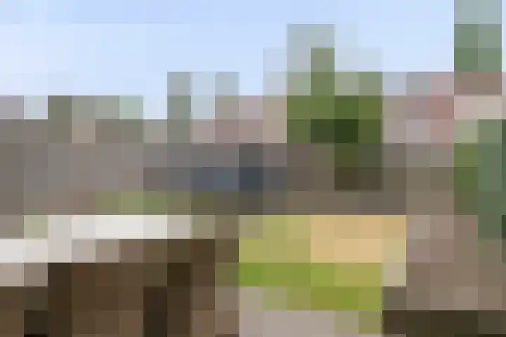 Berliozstraat 16 Veenendaal thumbnail 28