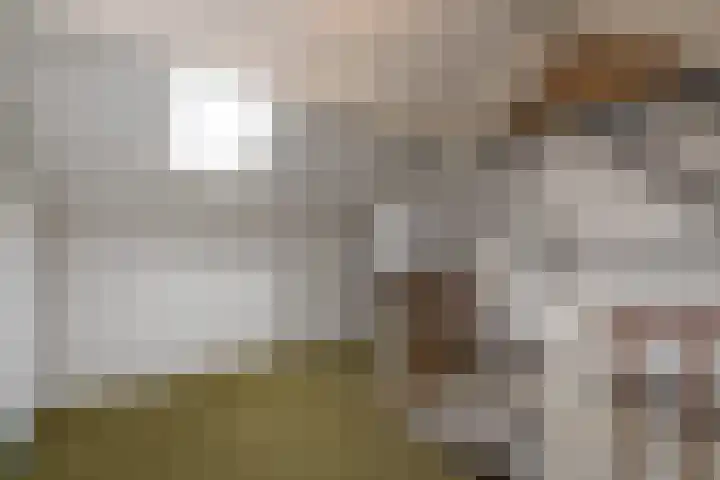 Berliozstraat 19 Lisse thumbnail 31