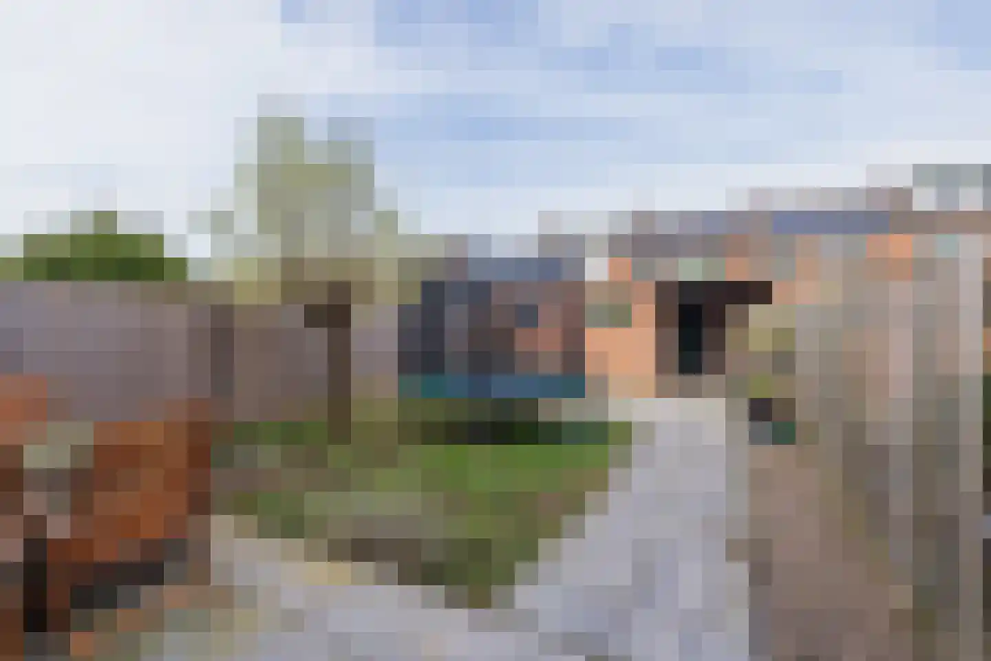 Berliozstraat 19 Lisse thumbnail 4