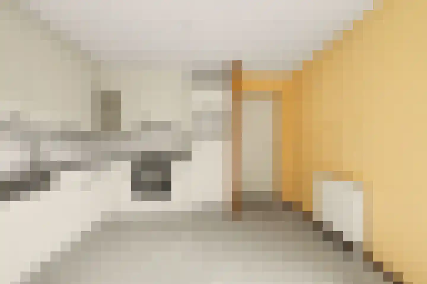 Berliozstraat 5 Oud-Beijerland thumbnail 10