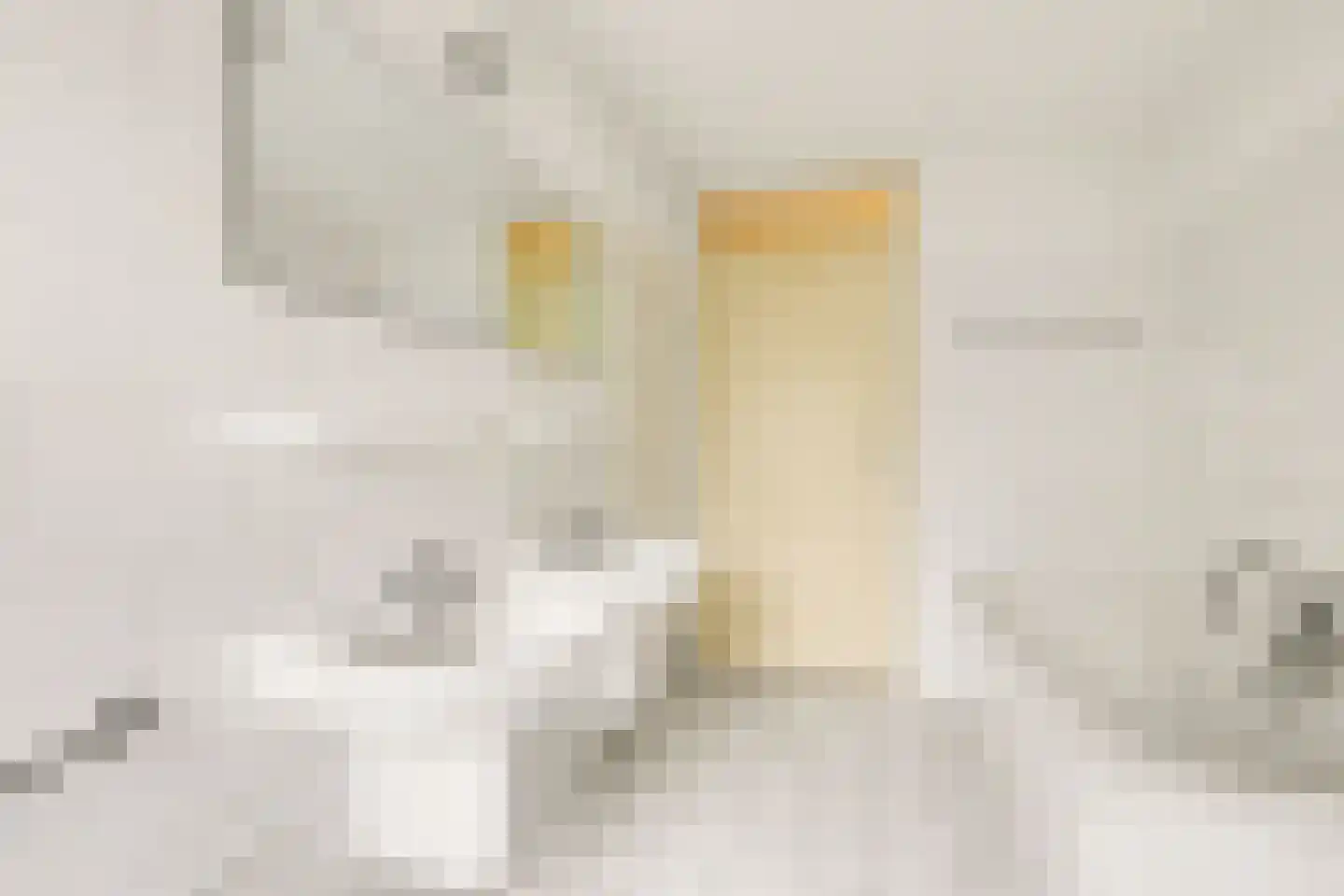 Berliozstraat 5 Oud-Beijerland thumbnail 15